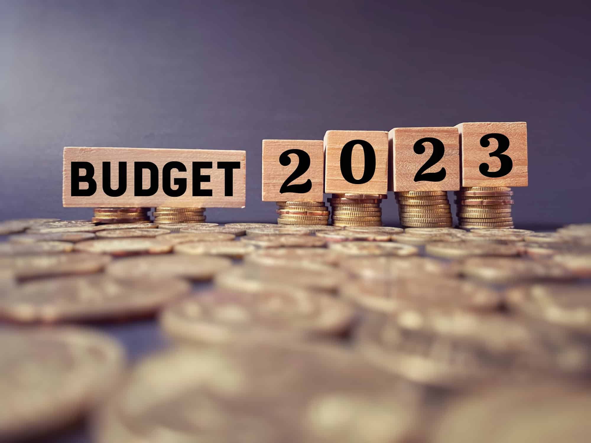 FX Risk Management Budget 2023